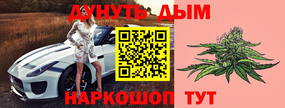 Марихуана Amnesia  Бошки марихуана план  Каннабис Amnesia  Каннабис Ganja  Вход с VPN  Новотроицк 